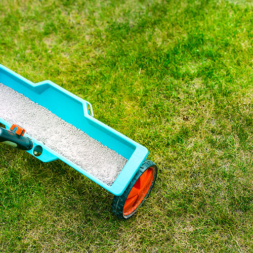 How Winter Weed Control Helps Keep Lawns Weed-Free